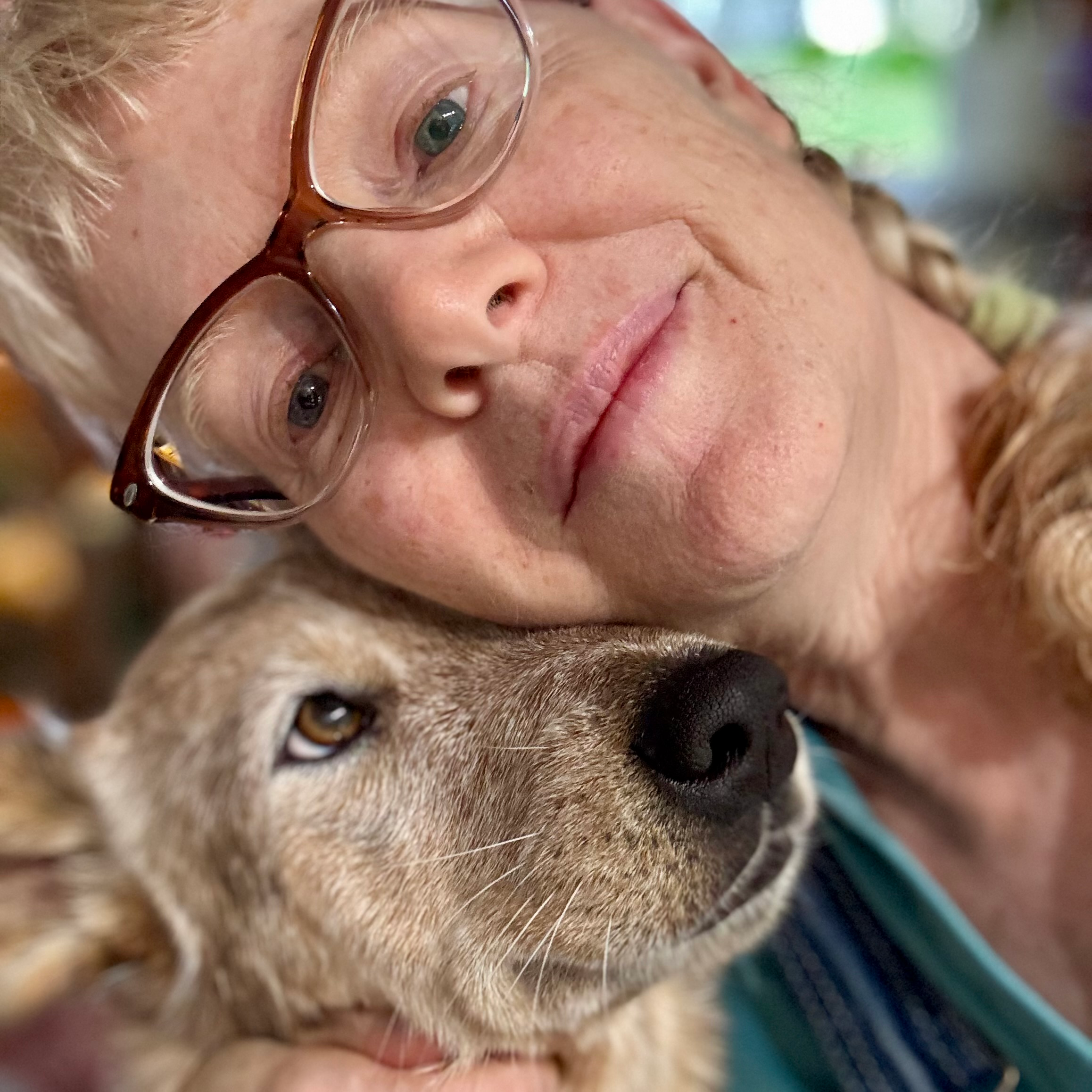 Meghan's Video Musings